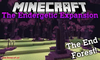 The Endergetic Expansion Mod (1.20.1, 1.16.5) – The End Forest