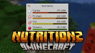 NutritionZ Mod (1.21.1, 1.20.1) – Realistic Dietary Mechanics