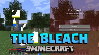 The Bleach Mod (1.21.5, 1.20.1) – Drinkable Bleach And Windex