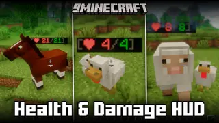 Health & Damage HUD Mod (1.21.1, 1.21) – Displays Entity Health