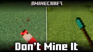 Don't Mine It Mod (1.21.1, 1.20.1) – Restrict Breaking Blocks Of Choice