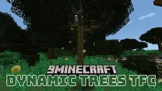 Dynamic Trees TFC Mod (1.20.1, 1.18.2) – Transforms TerraFirmaCraft World Generation