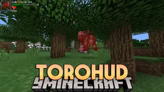 ToroHUD Mod (1.12.2) – Damage Indicators and More