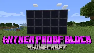 Wither Proof Block Mod (1.17.1, 1.16.5) – Defend Against The Wither