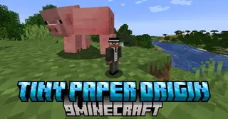Tiny Paper Origin Mod (1.21.1, 1.20.1) – Glide Through The World
