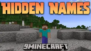 Hidden Names Mod (1.21.4, 1.20.1) – Hide And Customize Other Player Names