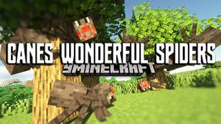 Canes Wonderful Spiders Mod (1.20.1, 1.19.2) – Make Spiders Absolutely Terrifying