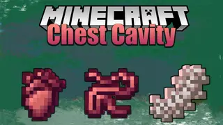 Chest Cavity Mod (1.20.1, 1.19.2) – Organs, Chest Opener