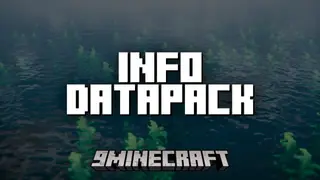 Info Datapack Mod (1.20.1, 1.19.4) – Custom Tooltips