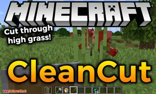 CleanCut Mod (26.2, 1.20.1) – Attack Through Obstructions