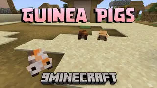 Guinea Pigs Mod (1.20.4, 1.20.1) – Add Adorable Guinea Pigs To Minecraft