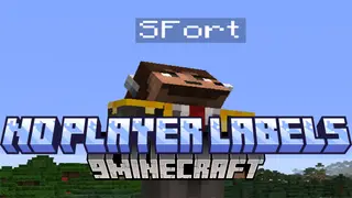No Player Labels Mod (1.20.4, 1.20.1) – Hide Player Names