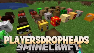PlayersDropHeads Mod (1.12.2) – Head Drop on Death