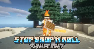 Stop Drop N Roll Mod (1.21.4, 1.20.1) – Handle Fire Damage Smarter
