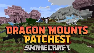Dragon Mounts Patches Mod (1.20.1) – Applies A Few Patches To The Dragon Mounts Legacy Mod