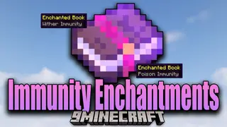 Immunity Enchantments Mod (1.20.1, 1.19.4) – New Defensive Enchantments