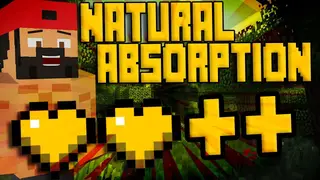 Natural Absorption Mod (1.20.1, 1.19.2) – Re-Purposes Vanilla Absorption