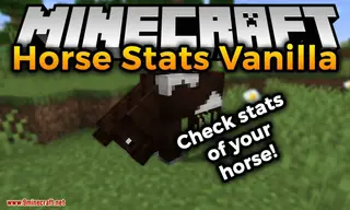 Horse Stats Vanilla Mod (1.20.2, 1.20.1) – Horse Characteristics