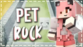 Petrock Mod (1.21.1, 1.19.2) – New Pet, Follows You