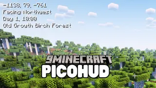 PicoHUD Mod (1.21.1, 1.20.1) – Coordinates, Direction, Biome, and In-game Time