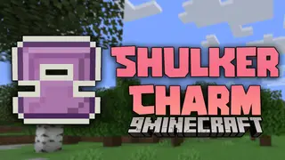Shulker Charm Mod (1.21.3, 1.20.1) – Flight In Reach: , Discover The Skies