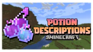 Potion Descriptions Mod (1.19.2, 1.18.2) – Information About Potions