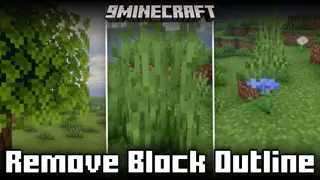 Remove Block Outline Mod (1.21.1, 1.20.1) – Removes The Outline Border Of Blocks