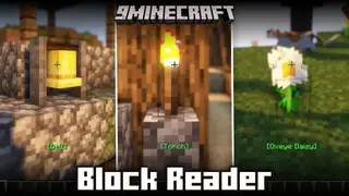 Block Reader Mod (1.21.3, 1.20.1) – Displays The Name Of Block You Are Pointing At