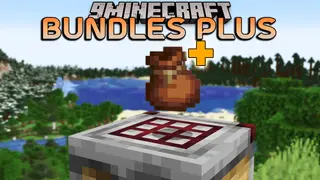 Bundles Plus Mod (1.16.5) – Bundle Behavior to Shulker Boxes
