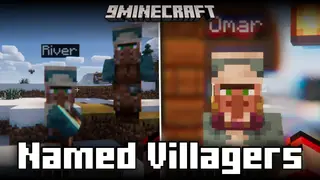 Named Villagers Mod (1.21.1, 1.20.6) – Gives Random Names To Villagers