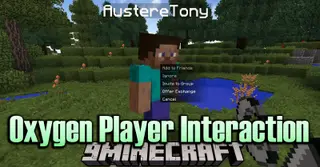 Oxygen Player Interaction Mod (1.12.2) – Interaction Menu for Players