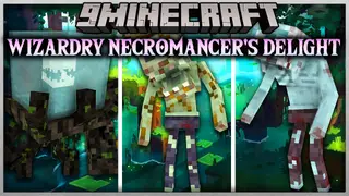 Wizardry Necromancer's Delight Mod (1.12.2) – Spell Pack