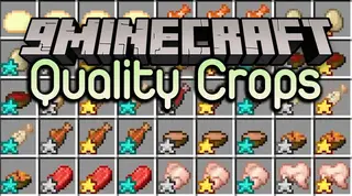 Quality Crops Mod (1.21.1, 1.20.1) – Qualities to Some Crops and Foods