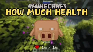 How Much Health Mod (1.21) – Displays The Health of Mobs
