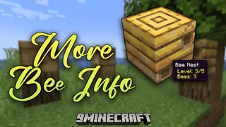 More Bee Info Mod (1.21.1, 1.20.1) – Enhance Your Beekeeping Experience