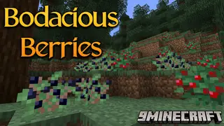 Bodacious Berries Mod (1.21.1, 1.20.1) – World Of Berries