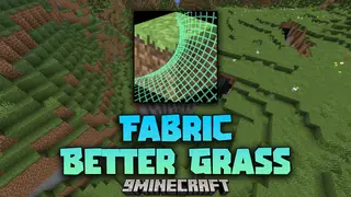 Fabric Better Grass Mod (1.21.1, 1.20.1) – Enhance Your Minecraft Terrain