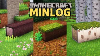 MinLog Mod (1.21.1, 1.20.6) – Fallen Trees around Biomes