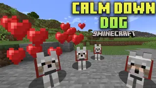 Calm Down Dog Mod (1.21.1, 1.20.1) – Bring More Love To Your Minecraft World