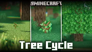Tree Cycle Mod (1.20.4, 1.20.1) – Forest Regeneration Process