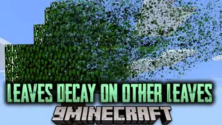 Leaves Decay on other Leaves Mod (1.21.1, 1.20.1) – Leaf Me Alone
