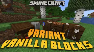Variant Vanilla Blocks Mod (1.21.1, 1.20.1) – Crafting Aesthetic Diversity