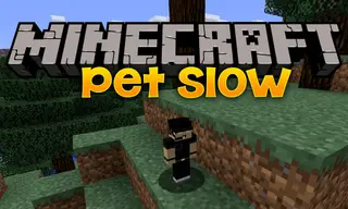 Pet Slow Mod (1.21.1, 1.20.1) – Mini Slowpoke