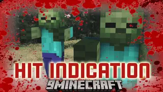 Hit Indication Mod (1.21.1, 1.20.1) – Display Hits from Damaging