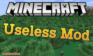 Useless Mod (1.21.1, 1.20.1) – Not Everything in this Mod is Useless