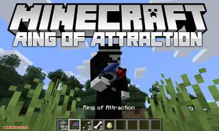Ring of Attraction Mod (1.21.1, 1.20.1) – A Simple and Powerful Item Magnet