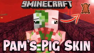Pam's Pig Skin Mod (1.12.2) – The Ball is Made from Pig Skin