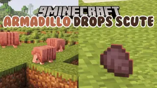 Armadillo Drops Scute Mod (1.20.6) – Dropping a Scute Upon Defeat