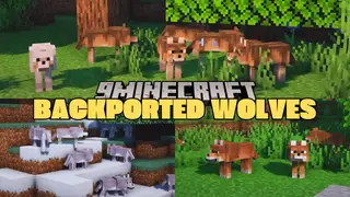 Backported Wolves Mod (1.20.6, 1.20.1) – Adds 8 New Wolf Variants