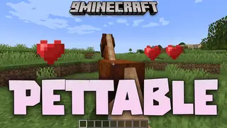 Pettable Mod (1.20.4, 1.19.4) – Elevate Your Minecraft Bond With Pets